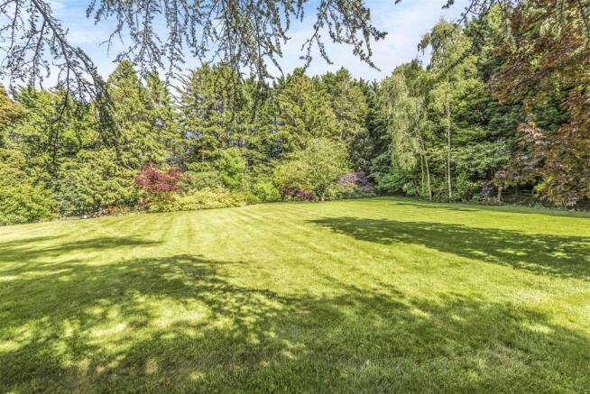 Lawn