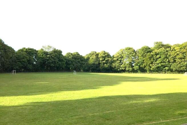 Sports Ground.jpg
