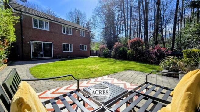 1.Headline photo (Medium).jpg