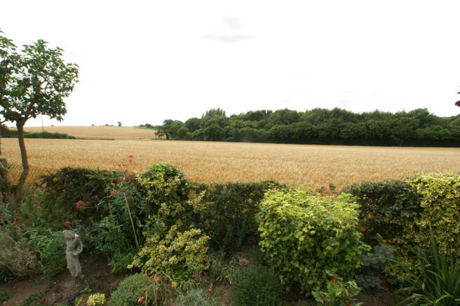 Field View