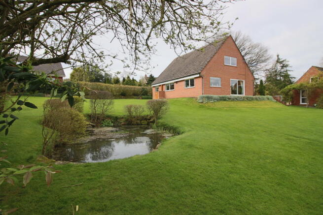 Garden pond.