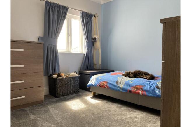 Photo 11