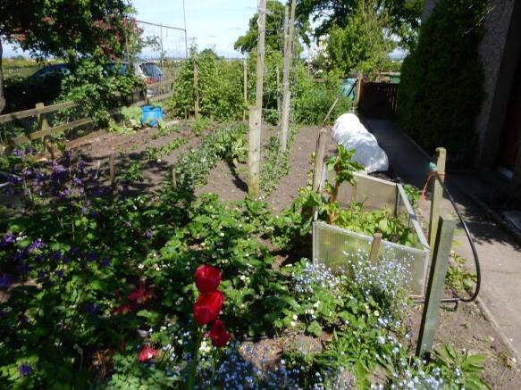 Photo 25
