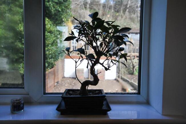 Photo 24