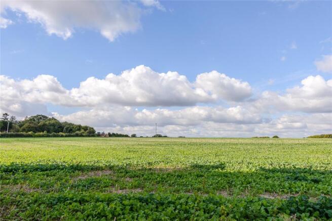 Adjacent Field