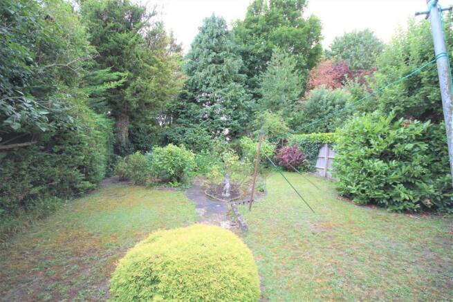 garden.jpg
