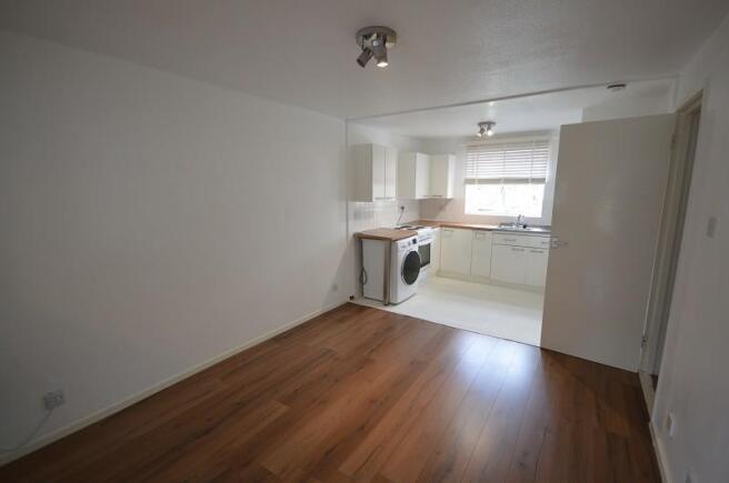 Lounge / Kitchen Room