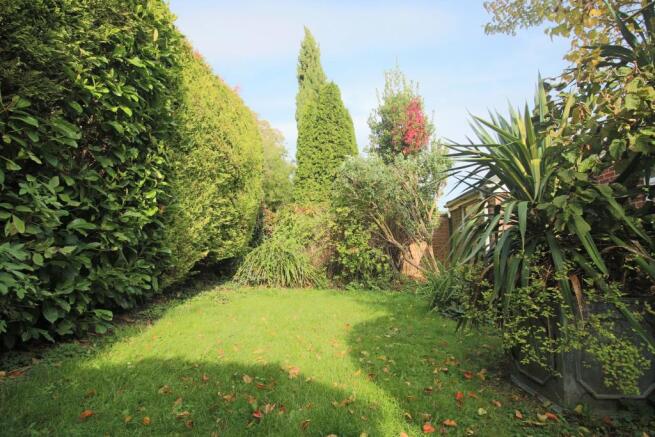 The Ferns Garden 1
