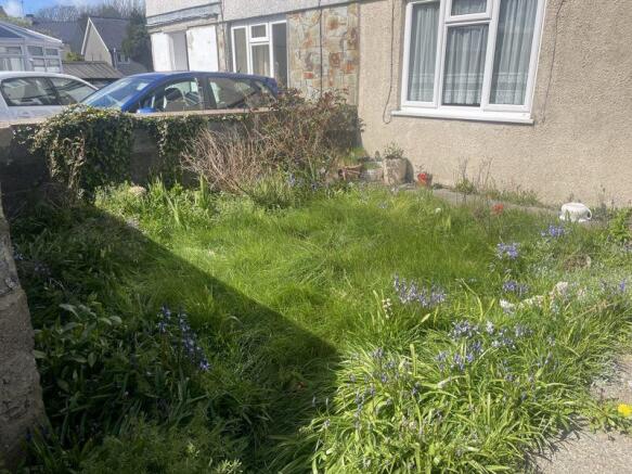 Front Lawn