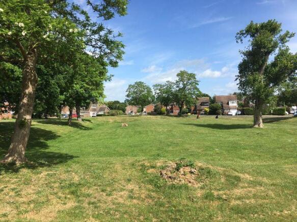 The Moat