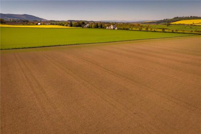 Arable Field