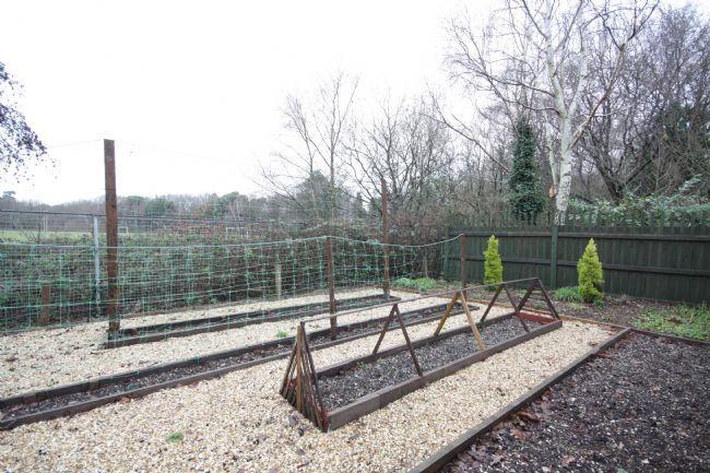 Vegtable Patch