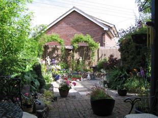 Photo 6