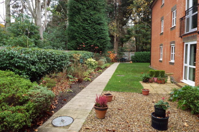 Photo 8