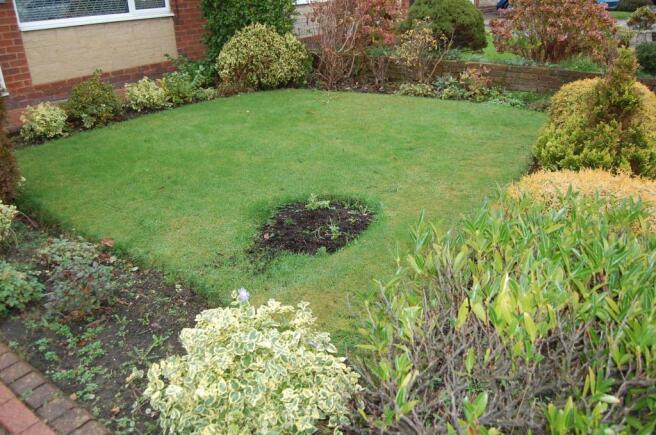 Front Garden