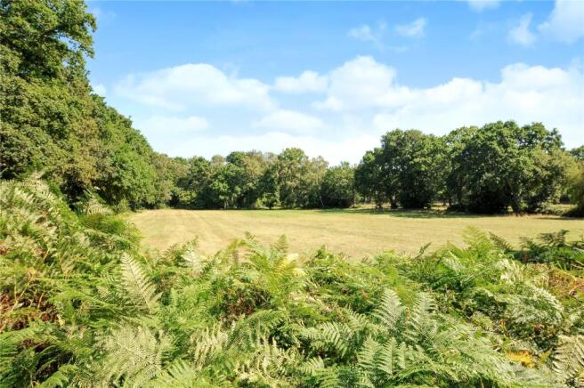 Countryside views