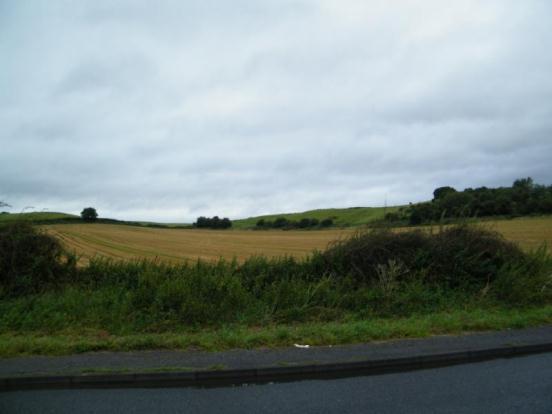 Picture No.01