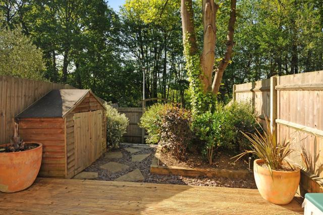 Back Garden