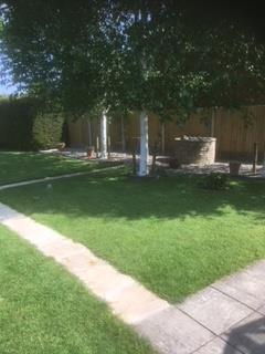 Garden 4.jpg