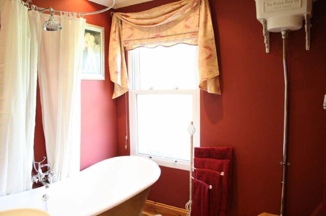 Photo 11