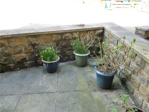 Front Yard
