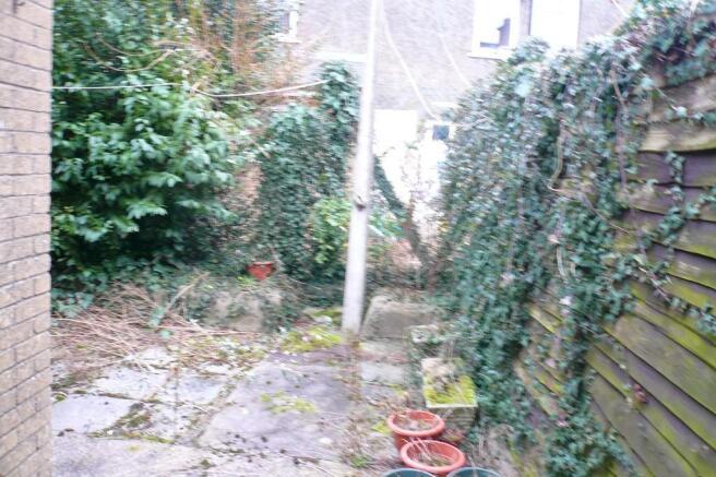 Rear Yard