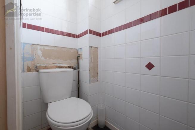 IMAGE 7