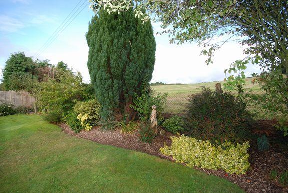 Garden Rear