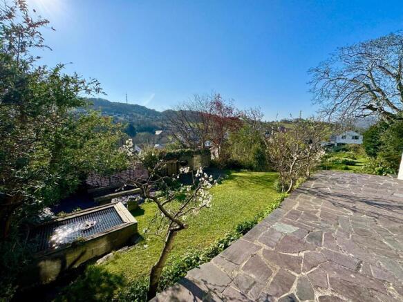 PHOTO-2025-04-07-19-38-15 (2).jpg