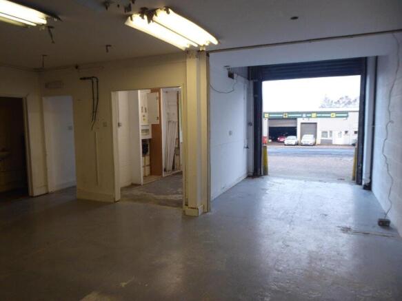 P1000704 GF Cameo.jpg