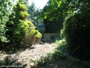 Photo 48