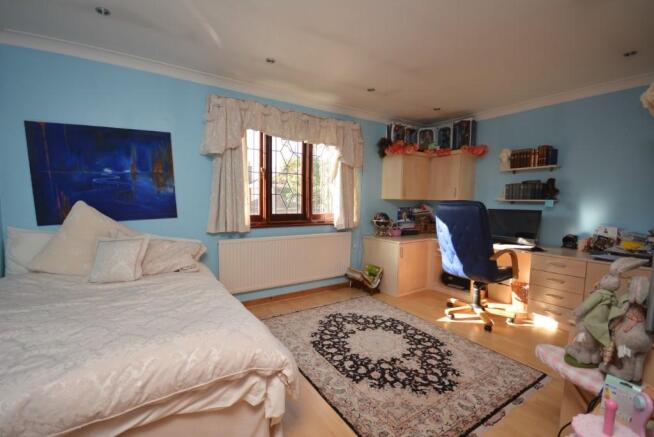 Photo 11