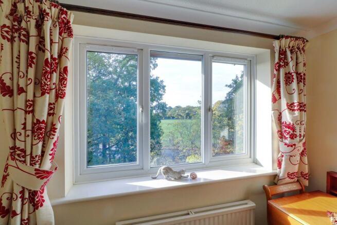 View of Park from Living Room