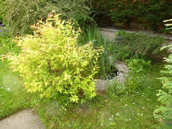 Photo 13
