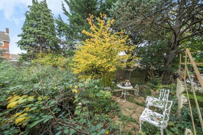Garden 3