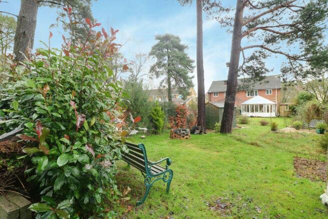 Garden at Back