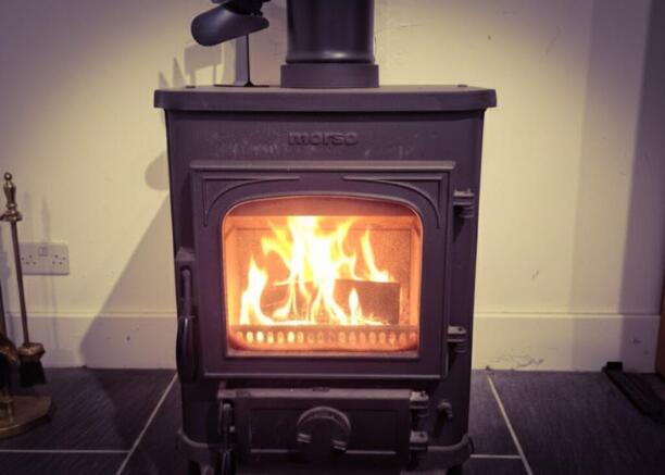 Log Burner in Annex
