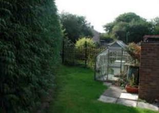 Side Garden