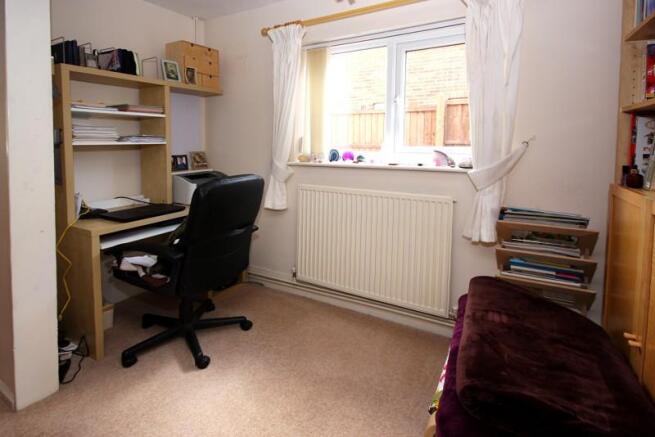 Study Area