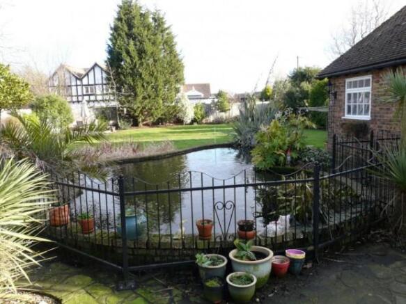 garden