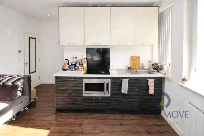 Lounge/Kitchen/Bedro