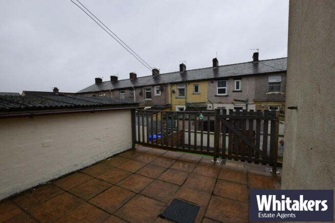 Rear Yard 