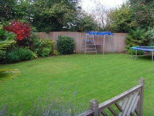Picture 9