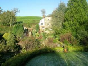 View from garden