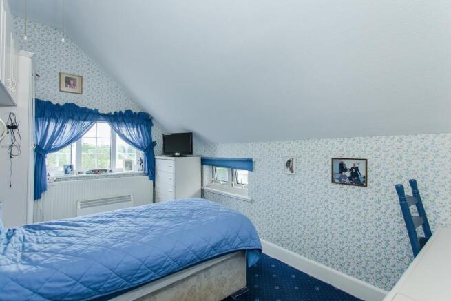 little paddocks 13 -
