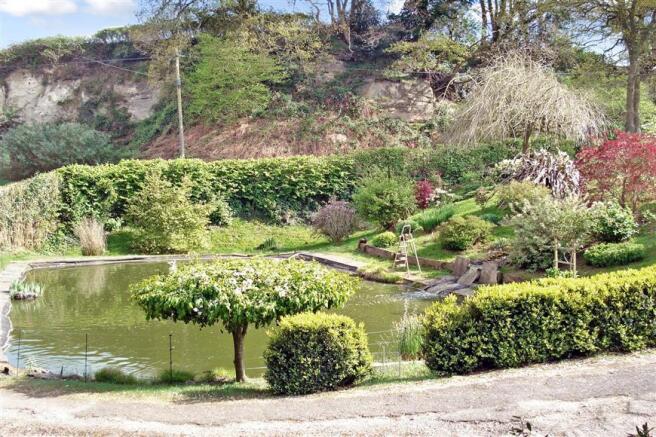 Pond View