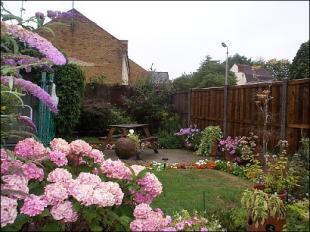 Photo 11