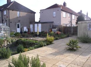 Patio Area