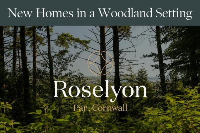 Legacy_Roselyon_single images-01.jpg