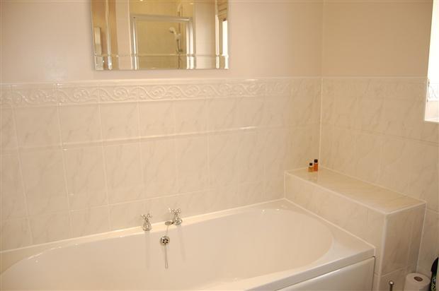 family bathroom view 2